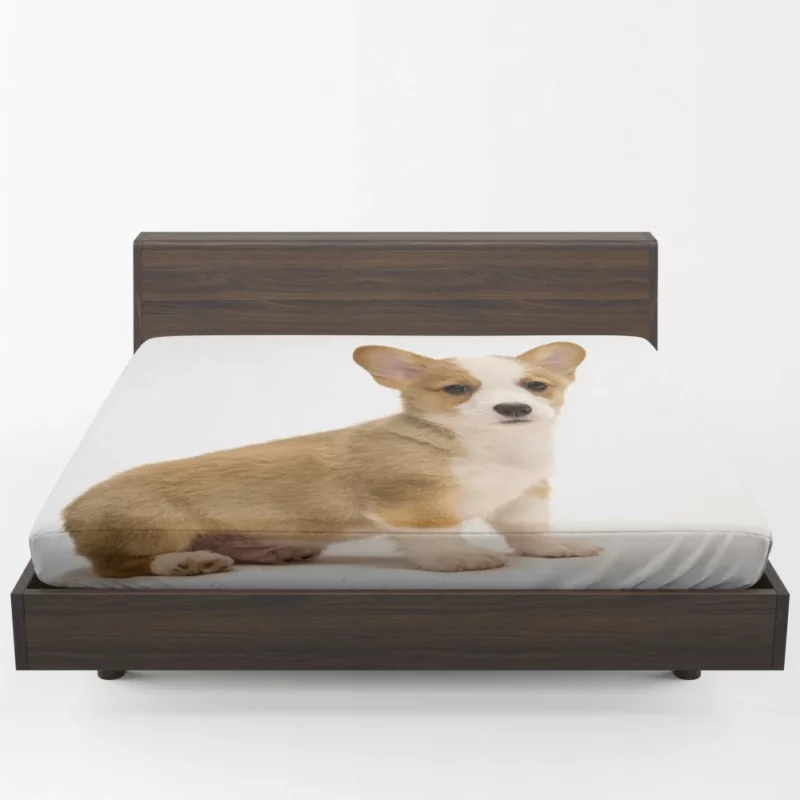 Charming Corgi Playful Canine Beauty Fitted Sheet