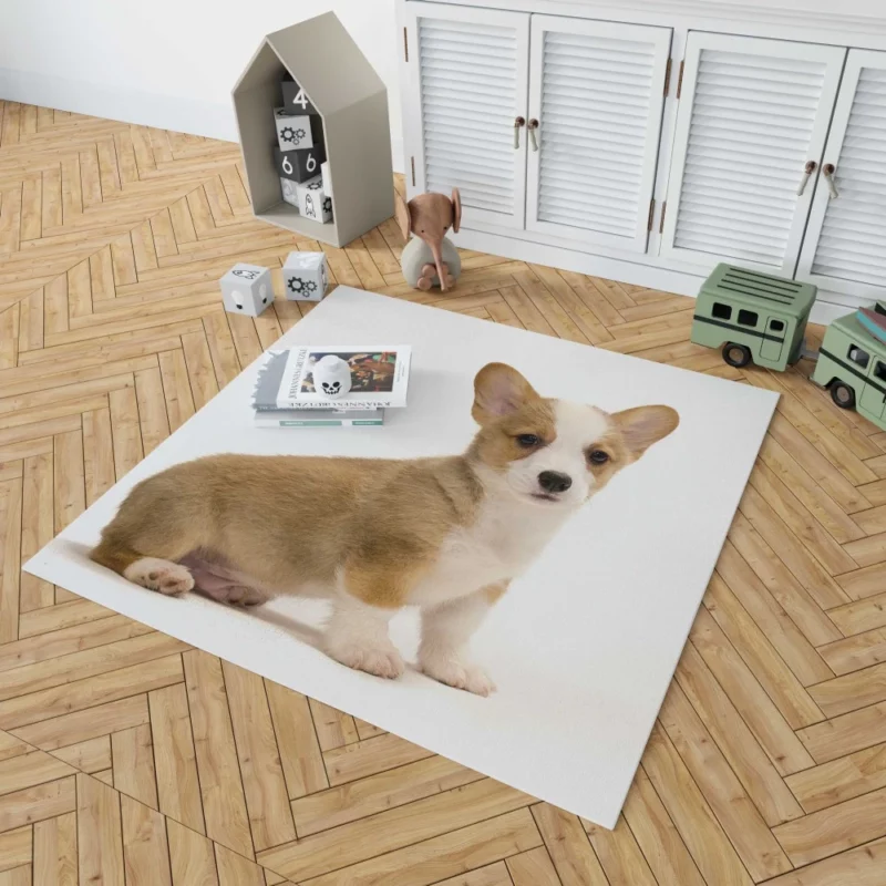 Charming Corgi Playful Canine Beauty Rug 1