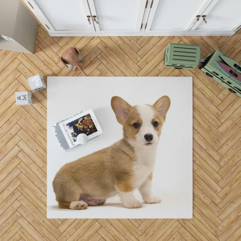 Charming Corgi Playful Canine Beauty Rug