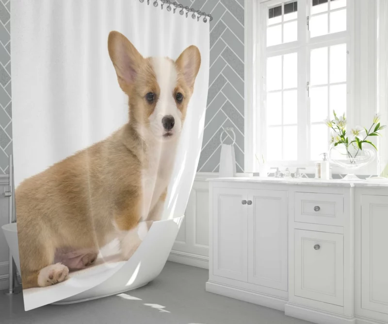 Charming Corgi Playful Canine Beauty Shower Curtain 1