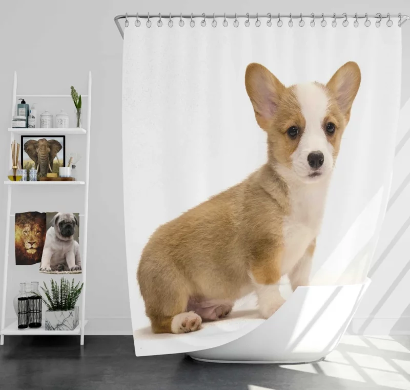 Charming Corgi Playful Canine Beauty Shower Curtain