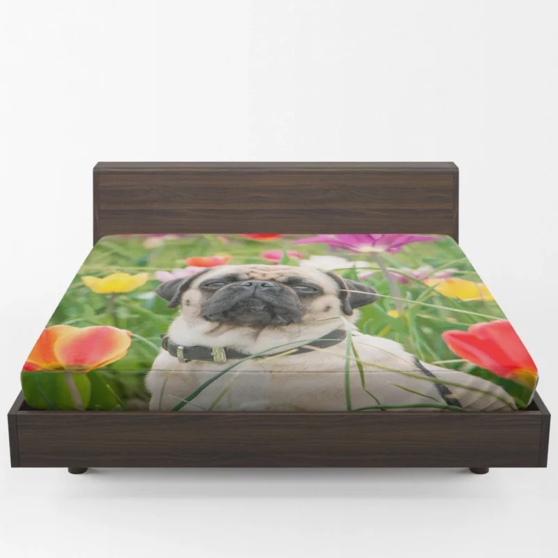 Charming Pug Persona Fitted Sheet