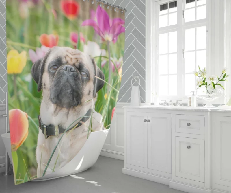 Charming Pug Persona Shower Curtain 1