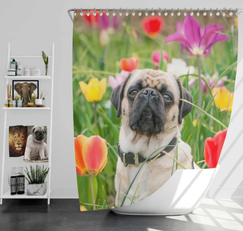 Charming Pug Persona Shower Curtain