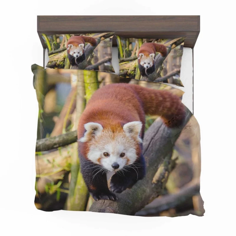 Charming Red Panda Bedding Set 1