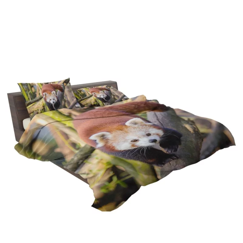 Charming Red Panda Bedding Set 2