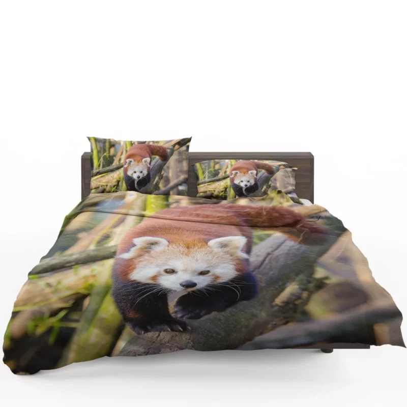 Charming Red Panda Bedding Set