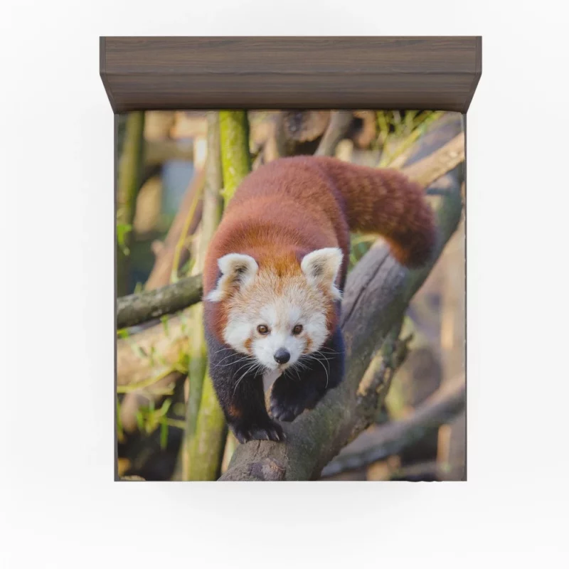 Charming Red Panda Fitted Sheet 1