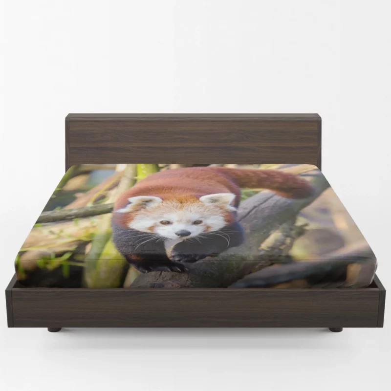 Charming Red Panda Fitted Sheet