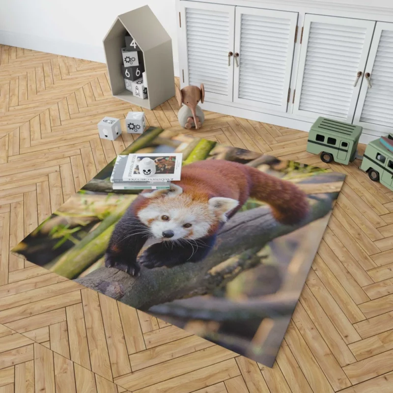 Charming Red Panda Rug 1