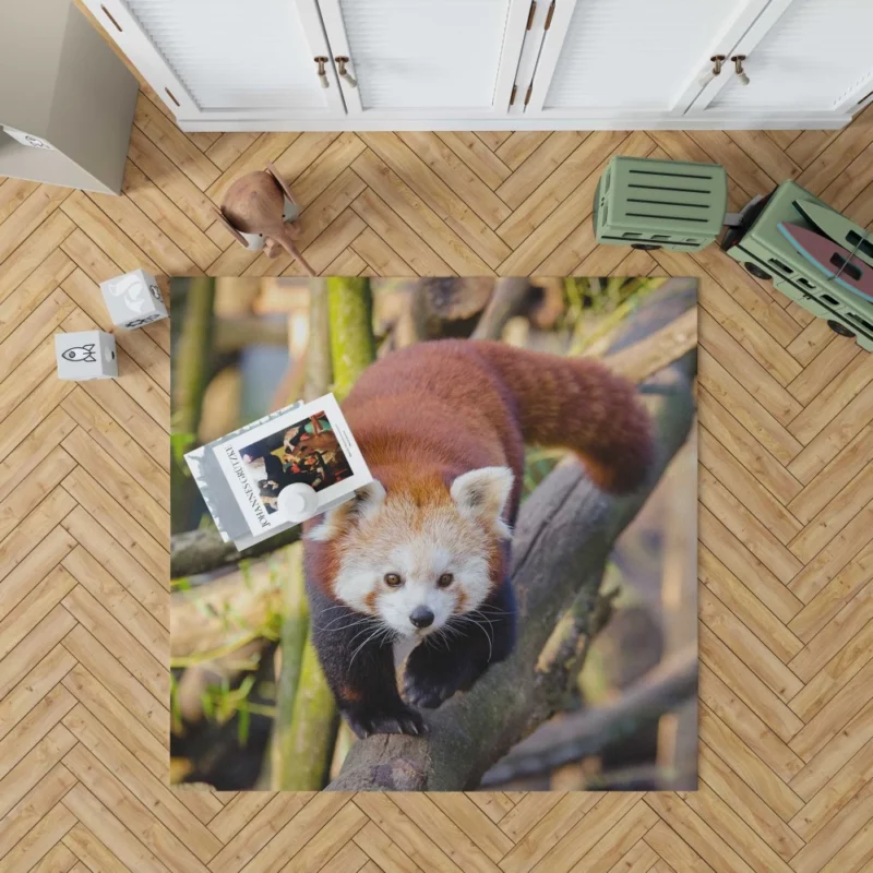 Charming Red Panda Rug