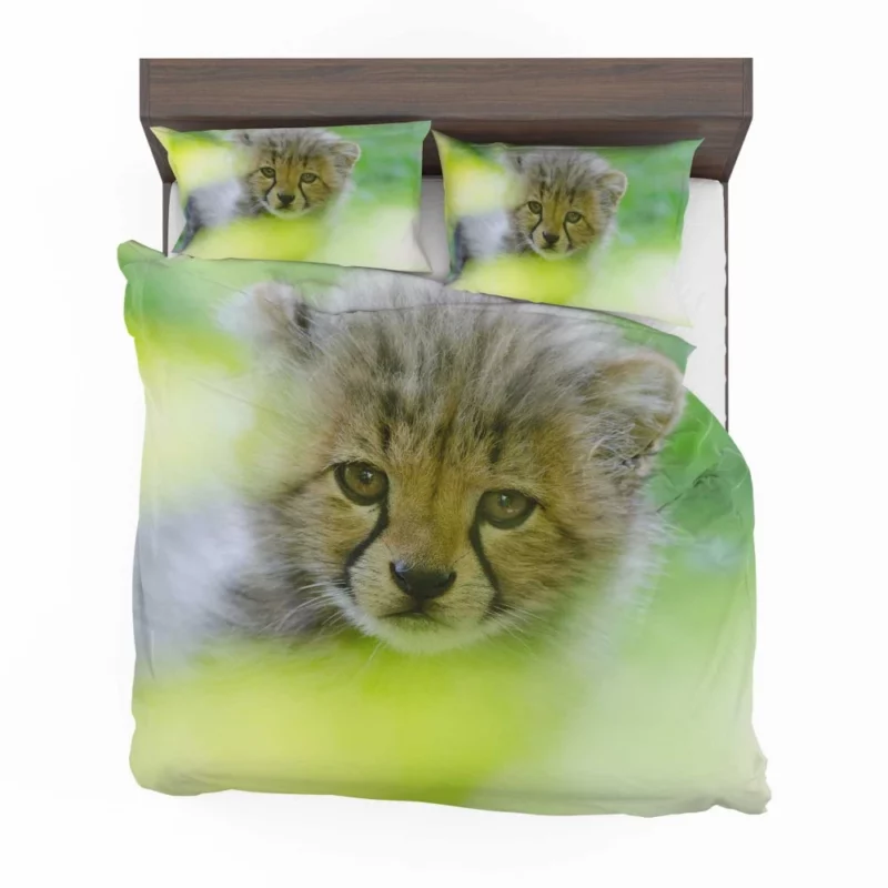 Cheetah Captivating Face Bedding Set 1