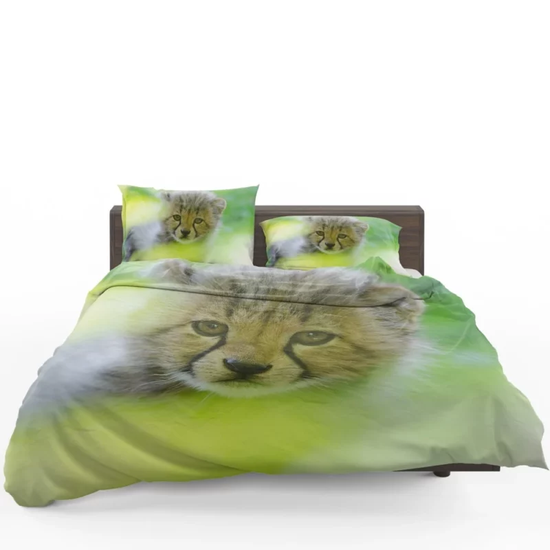 Cheetah Captivating Face Bedding Set