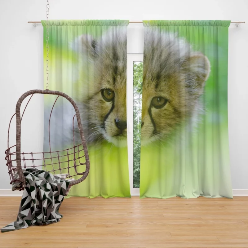 Cheetah Captivating Face Curtain