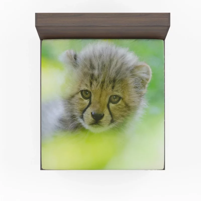 Cheetah Captivating Face Fitted Sheet 1