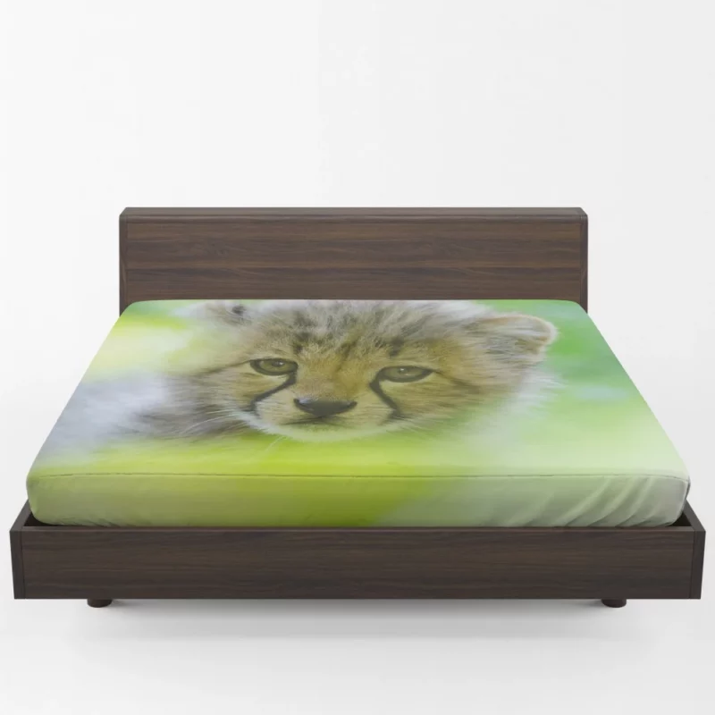 Cheetah Captivating Face Fitted Sheet