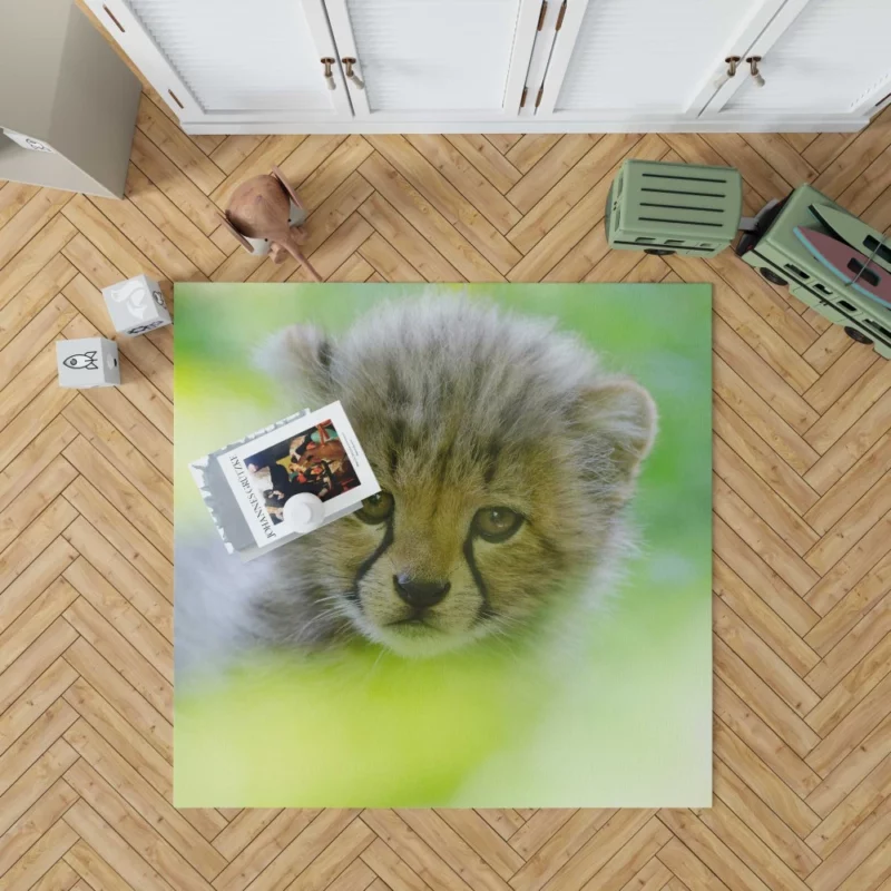 Cheetah Captivating Face Rug