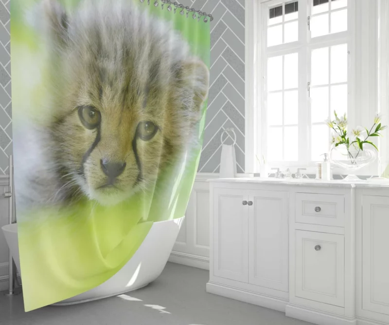 Cheetah Captivating Face Shower Curtain 1