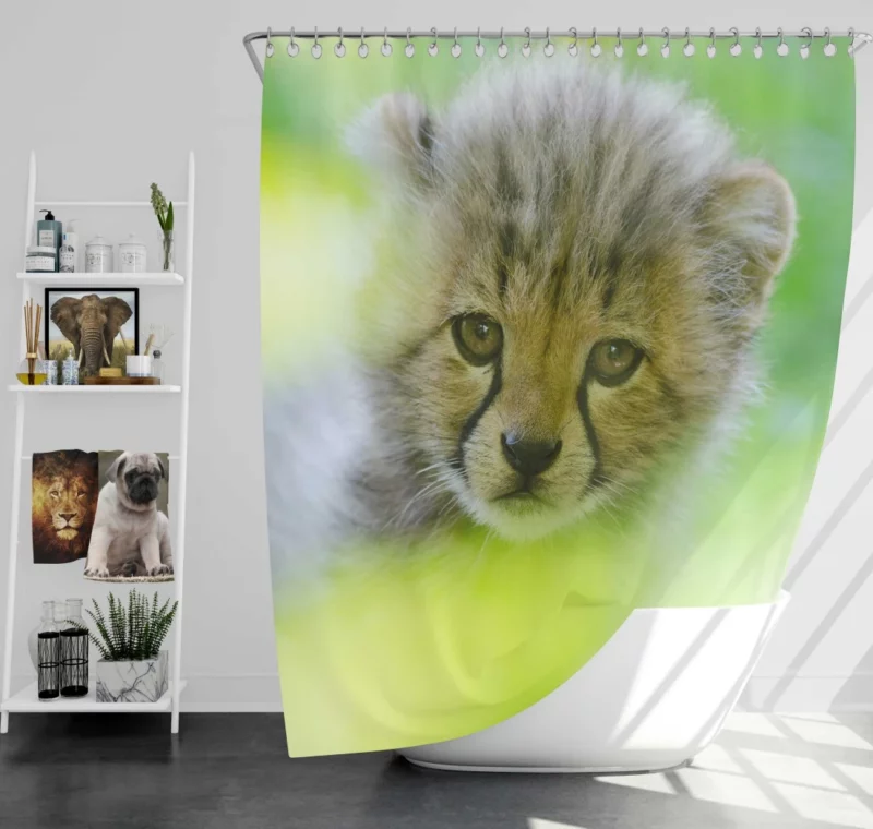 Cheetah Captivating Face Shower Curtain