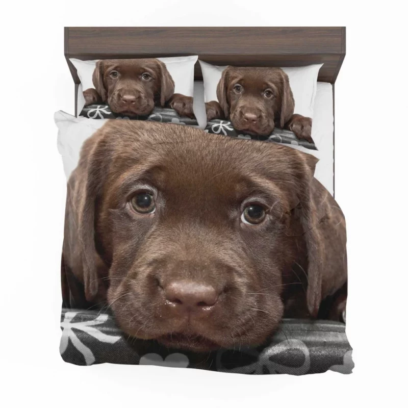 Chesapeake Bay Retriever Puppy Innocence Bedding Set 1