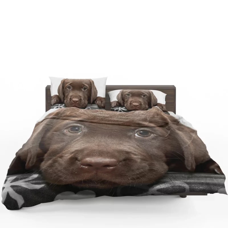 Chesapeake Bay Retriever Puppy Innocence Bedding Set