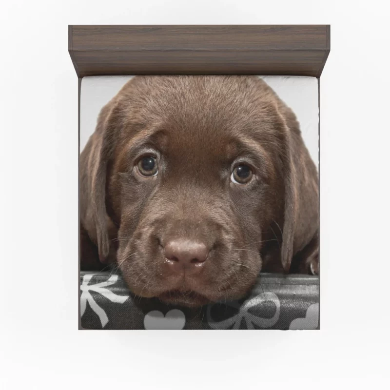 Chesapeake Bay Retriever Puppy Innocence Fitted Sheet 1