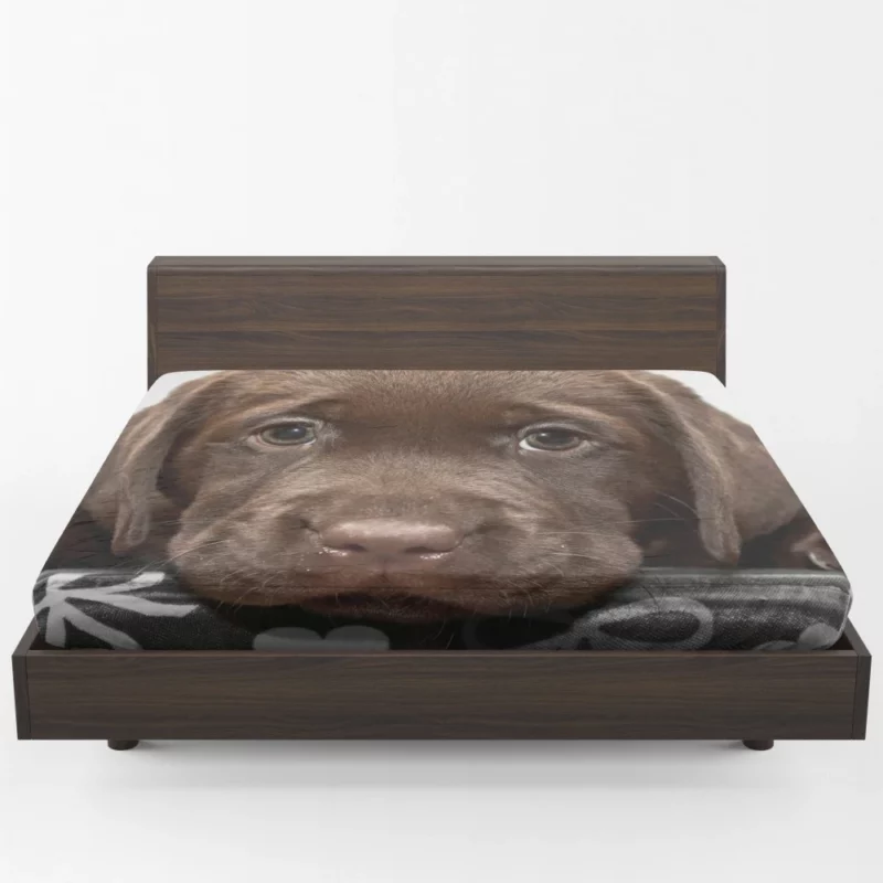 Chesapeake Bay Retriever Puppy Innocence Fitted Sheet