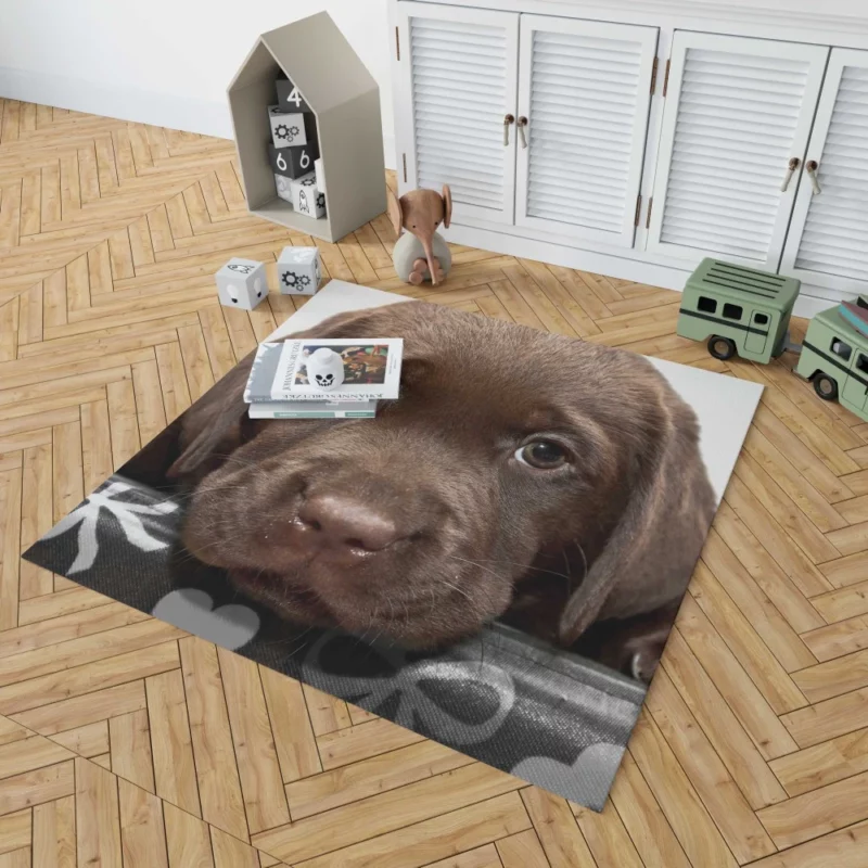 Chesapeake Bay Retriever Puppy Innocence Rug 1