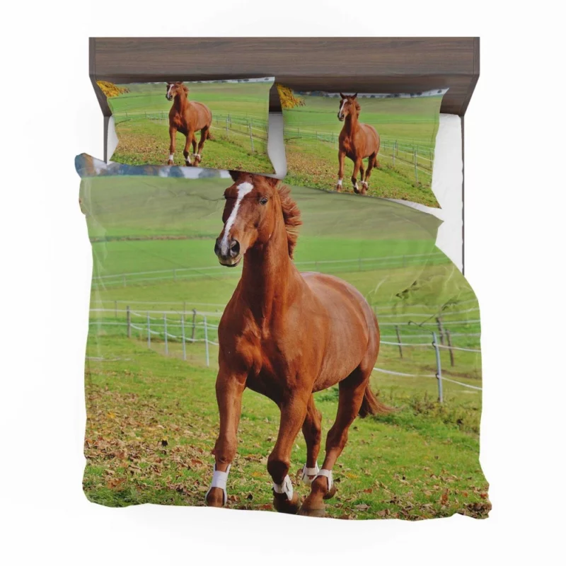 Chestnut Beauty Horse Majestic Stance Bedding Set 1