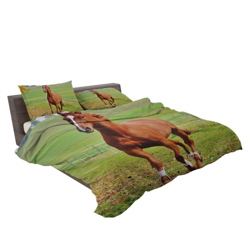 Chestnut Beauty Horse Majestic Stance Bedding Set 2