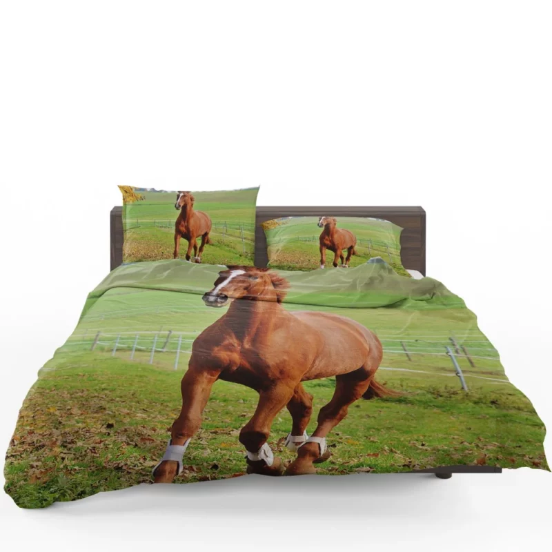 Chestnut Beauty Horse Majestic Stance Bedding Set