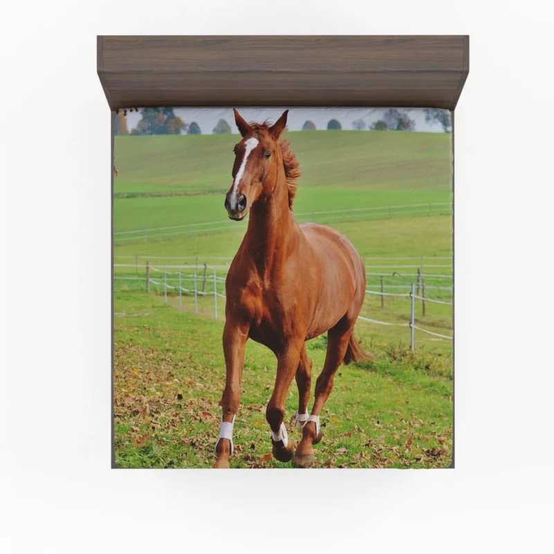 Chestnut Beauty Horse Majestic Stance Fitted Sheet 1