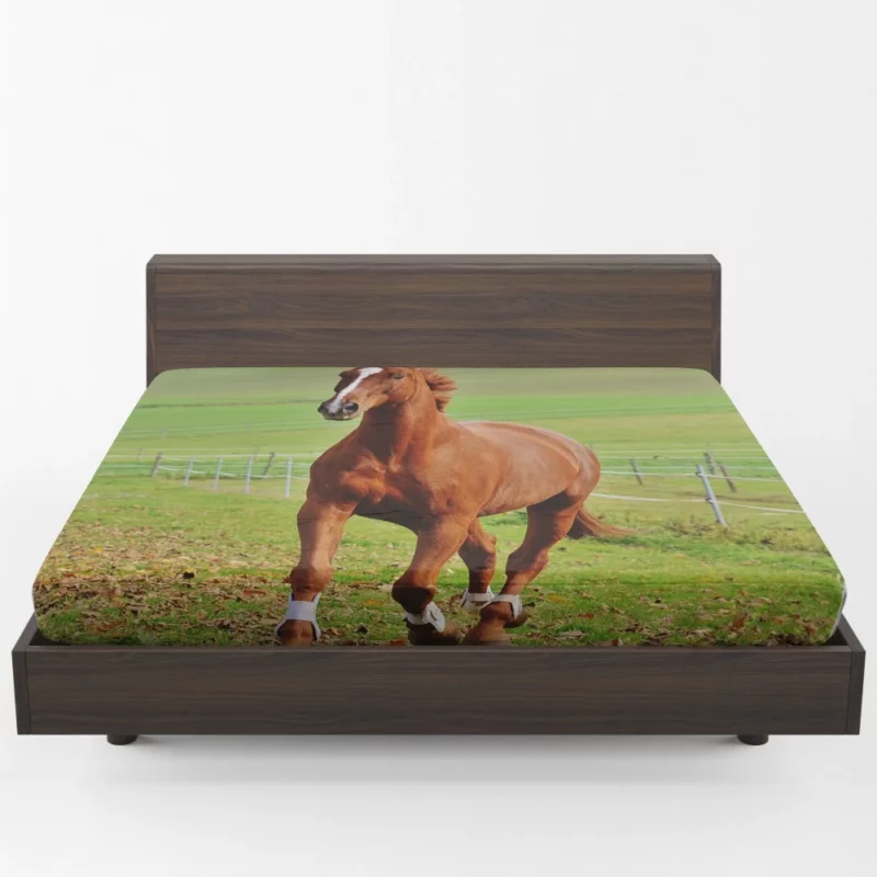 Chestnut Beauty Horse Majestic Stance Fitted Sheet