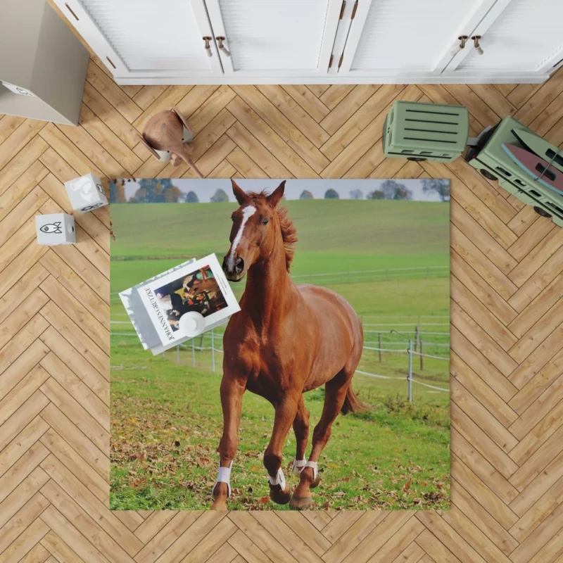 Chestnut Beauty Horse Majestic Stance Rug