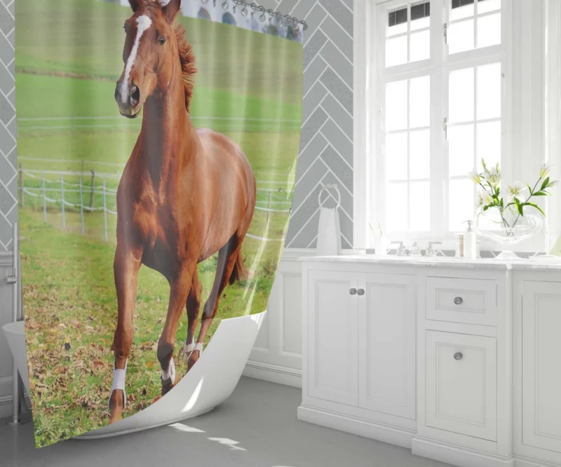 Chestnut Beauty Horse Majestic Stance Shower Curtain 1