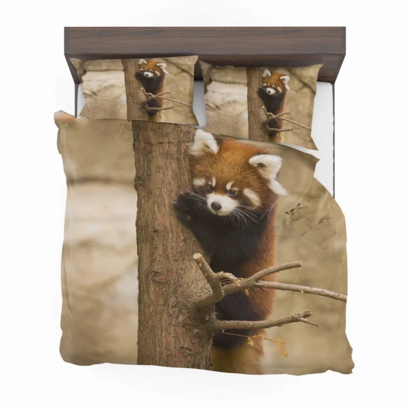 Chicago Zoo Red Panda Encounter Bedding Set 1