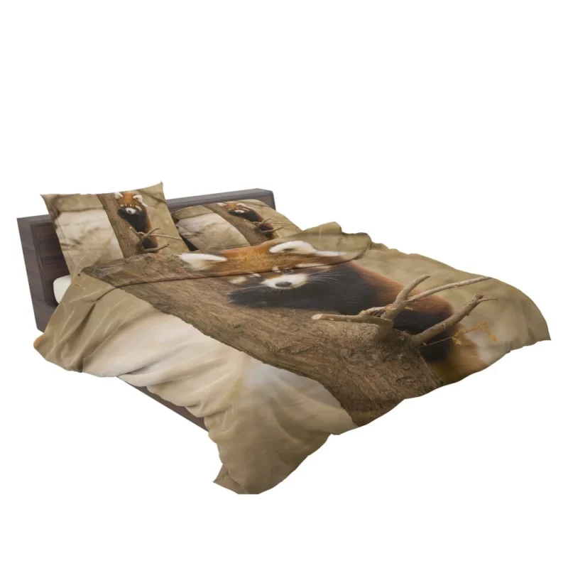 Chicago Zoo Red Panda Encounter Bedding Set 2