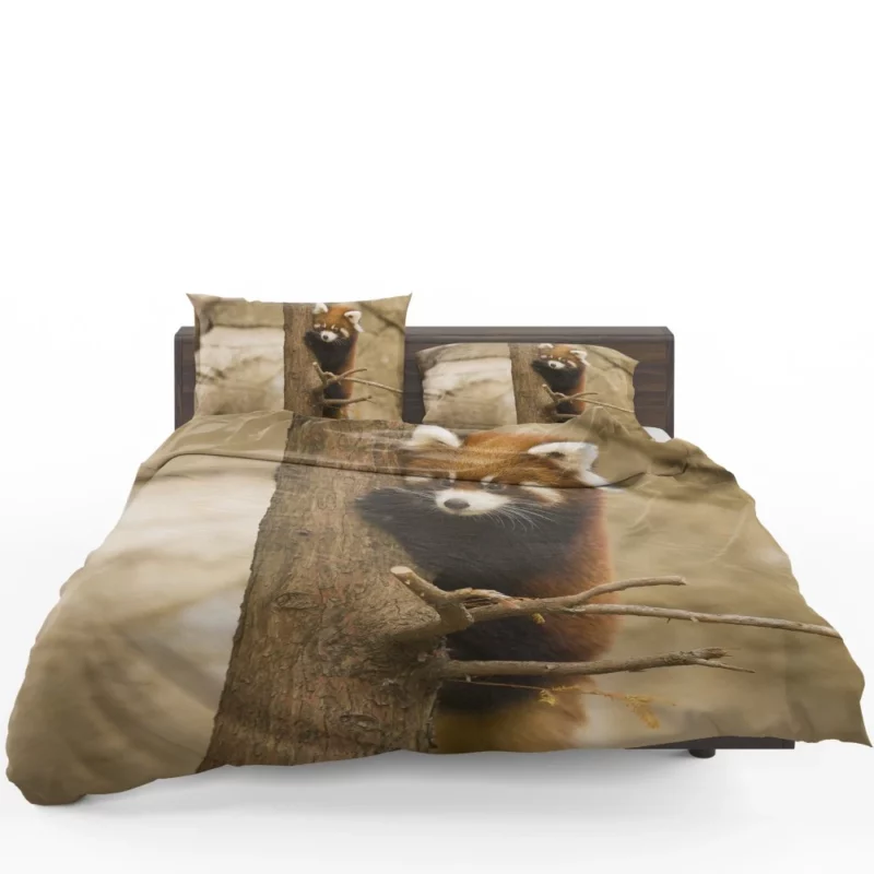 Chicago Zoo Red Panda Encounter Bedding Set