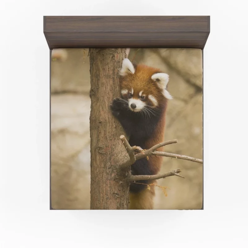 Chicago Zoo Red Panda Encounter Fitted Sheet 1