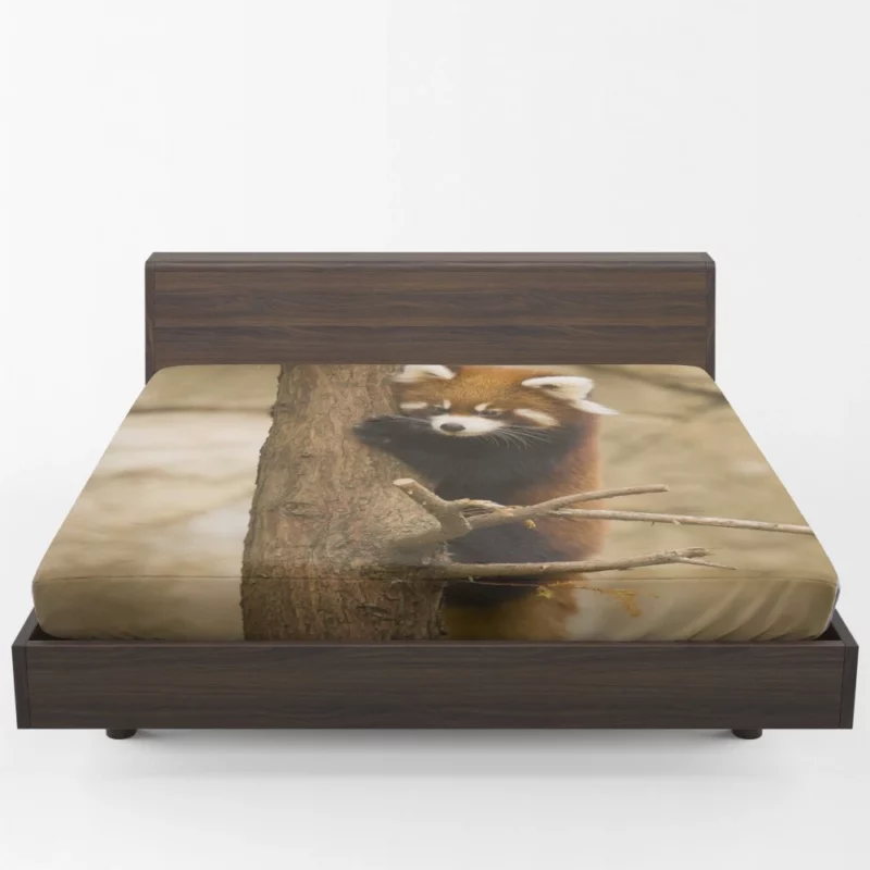 Chicago Zoo Red Panda Encounter Fitted Sheet