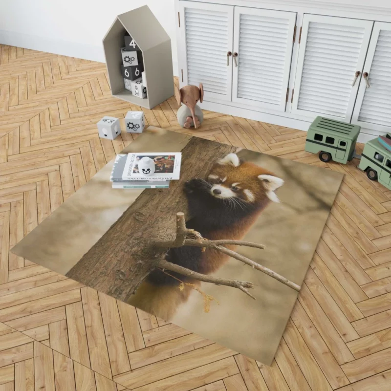 Chicago Zoo Red Panda Encounter Rug 1