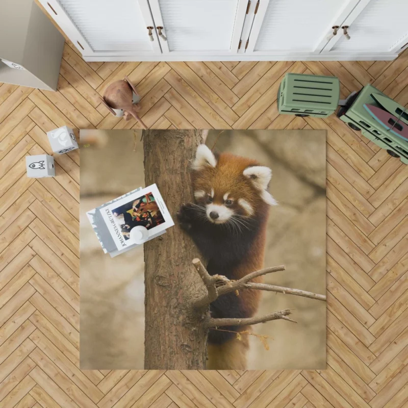 Chicago Zoo Red Panda Encounter Rug