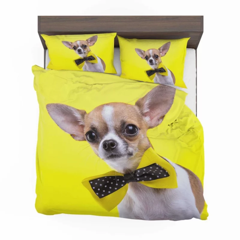 Chihuahua Curious Eyes Quirky Companion Bedding Set 1