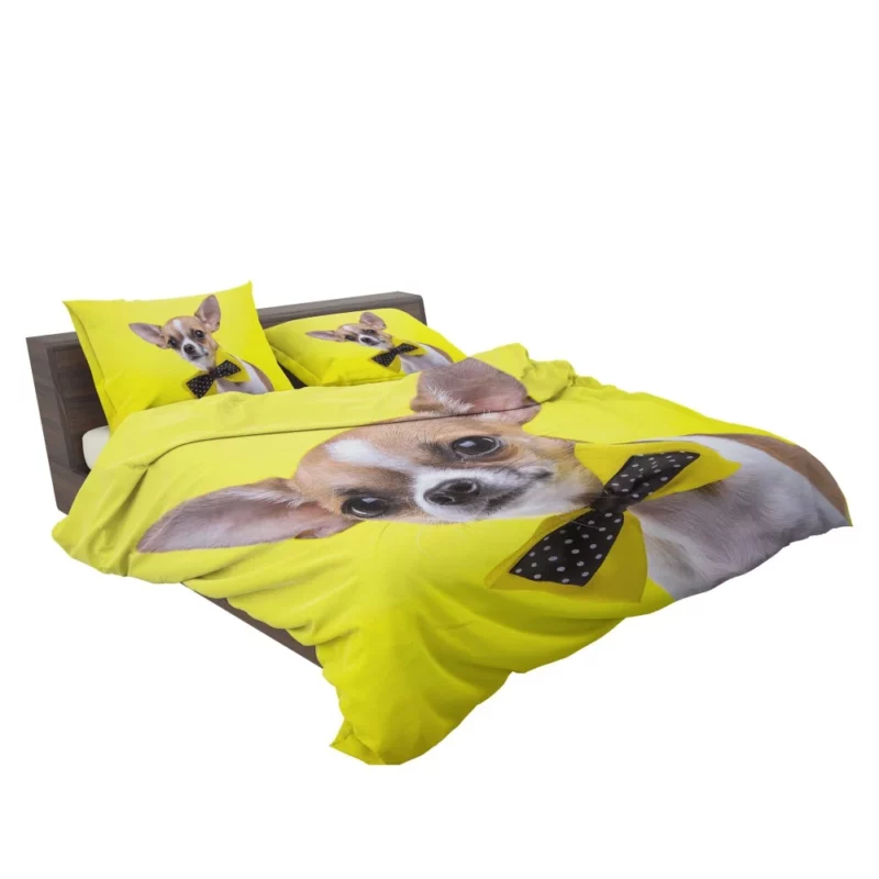 Chihuahua Curious Eyes Quirky Companion Bedding Set 2