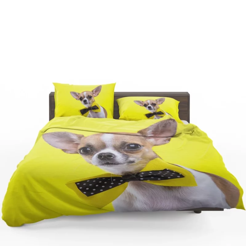 Chihuahua Curious Eyes Quirky Companion Bedding Set