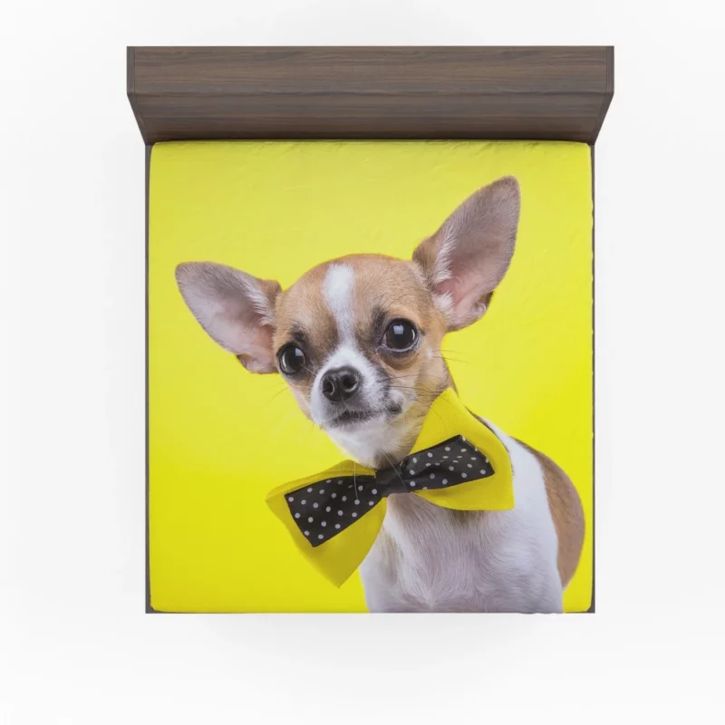 Chihuahua Curious Eyes Quirky Companion Fitted Sheet 1