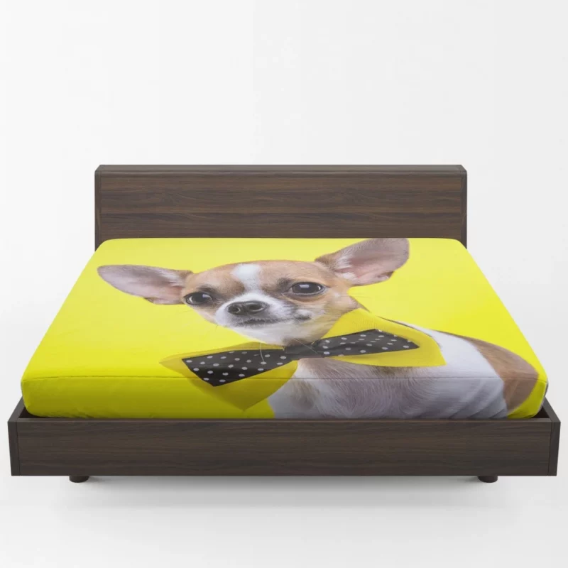 Chihuahua Curious Eyes Quirky Companion Fitted Sheet