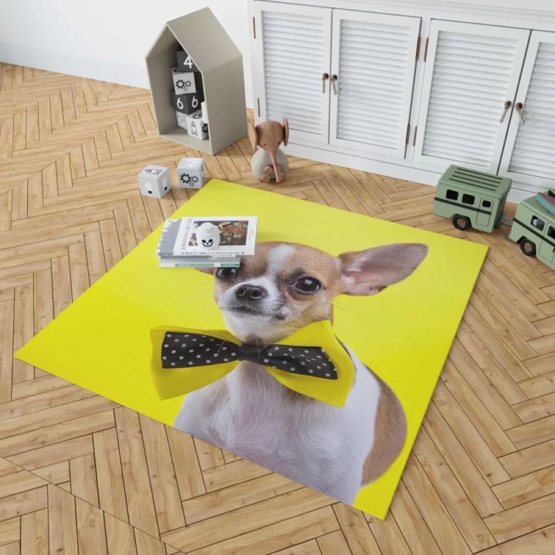 Chihuahua Curious Eyes Quirky Companion Rug 1