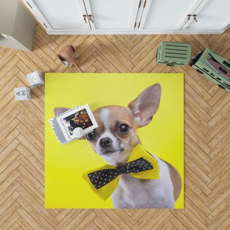 Chihuahua Curious Eyes Quirky Companion Rug