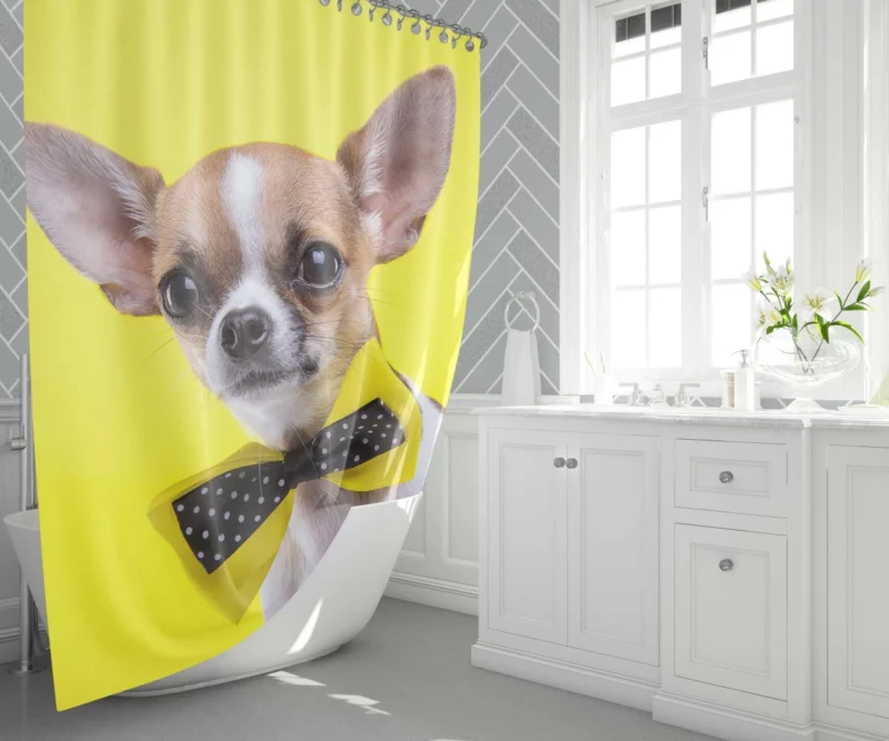 Chihuahua Curious Eyes Quirky Companion Shower Curtain 1